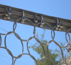 �h(hu��n)�ξW